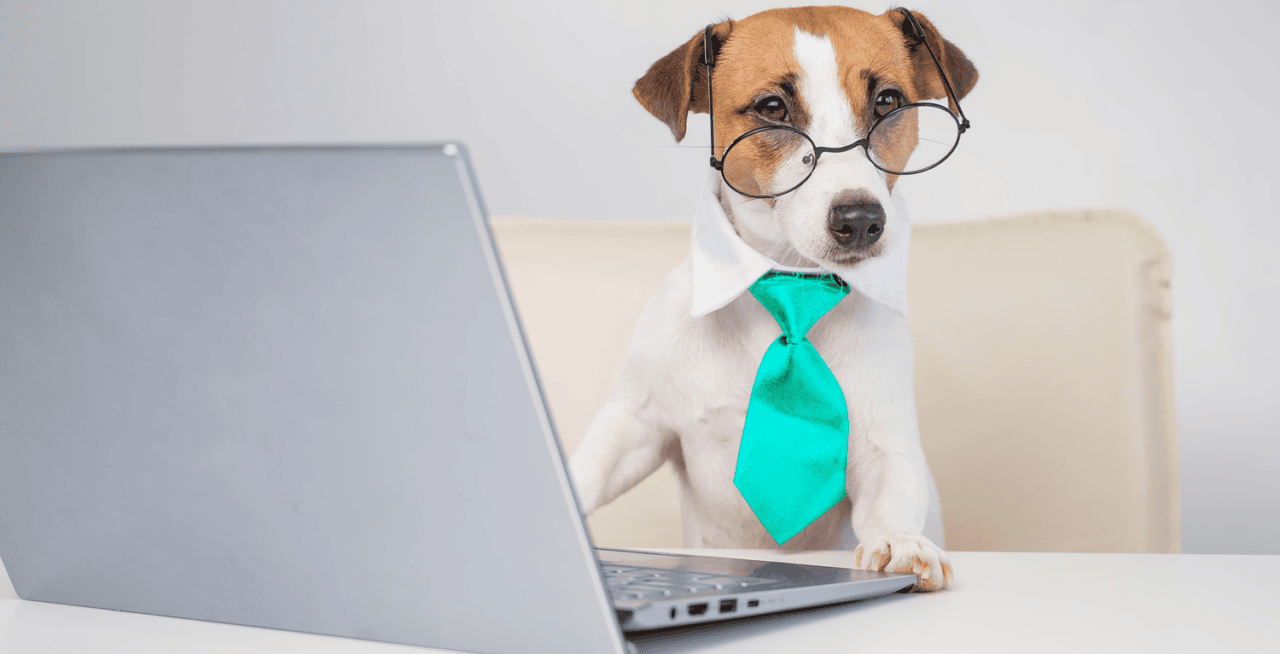 Fi Pets At Work