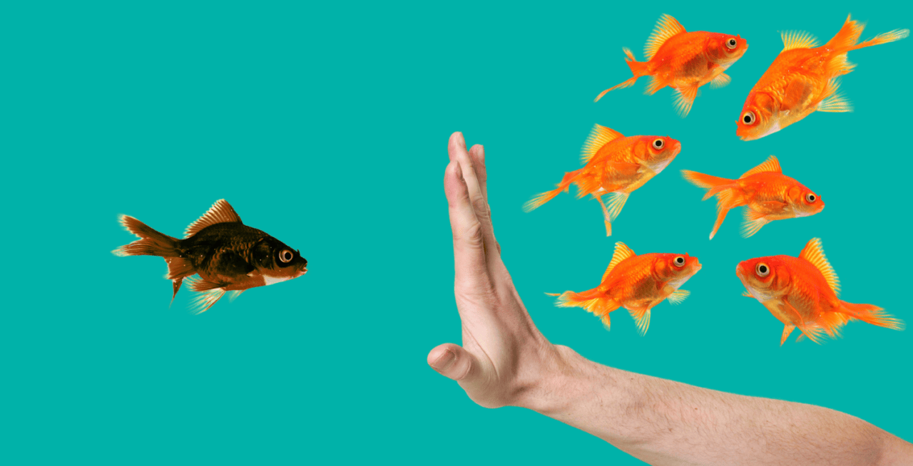 Fi Age Discrimination